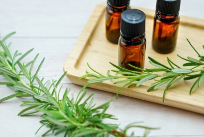 【初心者向け】ローズマリー精油のすべて：集中力と活力を高める効果と正しい選び方